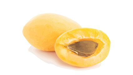 apricot on white background