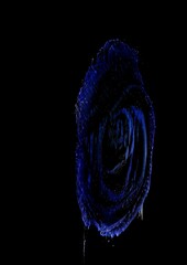 v1-010600-flowers-3635994792-liquid-3635994792