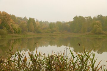 Foggy gloomy morning on a pond on an autumn day. The yellow foliage of the trees is hidden by a haze of fog. Reflections in the water.