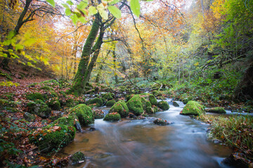 Scène automnale: la cascade de Brisecou en Bourgogne près d'autun dans la forêt aux couleurs de l'automne