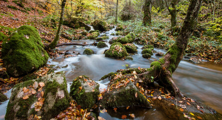 Scène automnale: la cascade de Brisecou en Bourgogne près d'autun dans la forêt aux couleurs de...