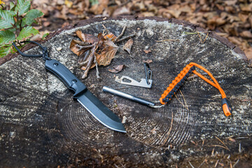 Essential tactical bushcraft tools on a tree stump in the woods