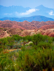 Obraz premium Natural unusual landscape of red rocks against the backdrop of blue mountains. The extraordinary beauty of nature is similar to the Martian landscape. Amazingly beautiful landscape.