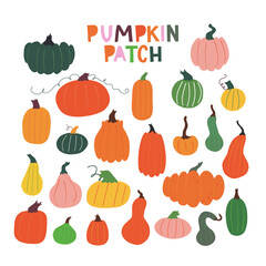 Set of different varieties of pumpkins. Hand drawn clipart for pumpkin patch illustration. Big collection of colorful cute squashes for farmers market banners and thanksgiving day backgrounds