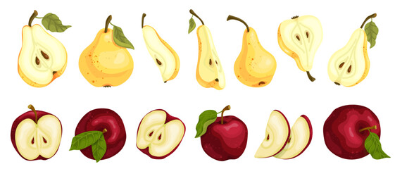 Collection of ripe red apple fruits and juicy pear fruits with green leaves. Isolated vector graphic.