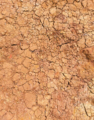 close up arid land for background or wallpaper. No People