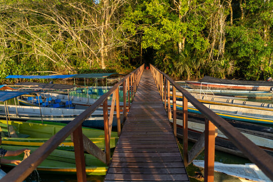 The beautiful lagoon of Limoncocha, biological reserve.