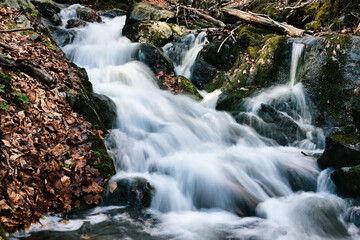 small stream in the mountains of North Macedonia