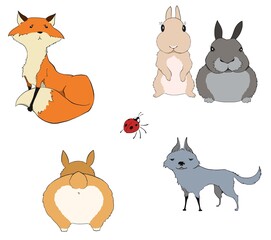 Set of cute funny animals on white background: fox, wolf, pair of rabbits, corgi dog, ladybug