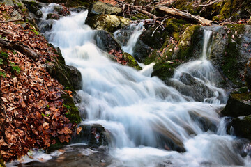 Fototapeta na wymiar small stream in the mountains of North Macedonia