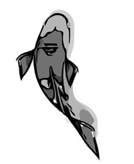 koi fish design sketch no background and PNG format