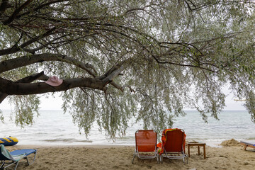 Tree and sunbeds on a cosy beach in Thassos, Greece, during a cloudy summer day.