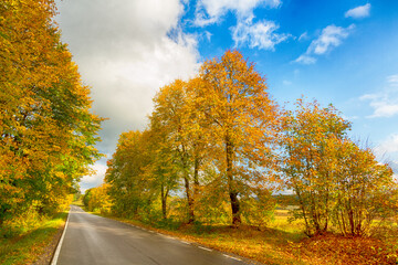 Landscape autumn road with colourful trees, autumn Poland, Europe and amazing blue sky with clouds, sunny day