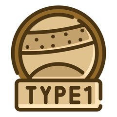 type 1 two tone icon