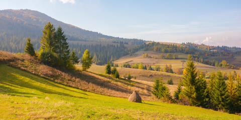 rural landscape in autumn. fields and trees on the hill in dappled evening light. wonderful sunny autumn scenery of carpathian countryside