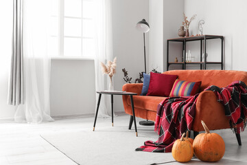 Autumn interior of living room with red sofa, table and pumpkins