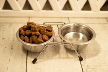 feeding the dog dry food. the process of pouring food into a bowl. dog eats food. pet feeding. healthy pet food