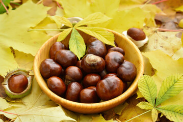 Chestnuts in bowl