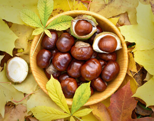 Chestnuts in bowl, autumn composition