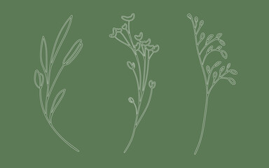 Sprig set outline on green background. Wildflowers in outline style. Nature illustration