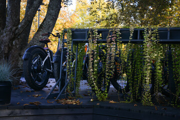 bicycle shed as flower pots in a park with a wooden floor.