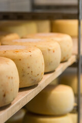 Rows of cheese on wooden shelves at cheese making factory. Drying the cheese in a storage rack. Wheels of yellow cheese in store at milk factory. Dairy plant. Food industry.