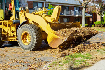 During autumn season, workers from municipalities from around city use bulldozer trucks to rake up fallen leaves that have accumulated near houses.