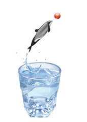 dauphin de nouvelle-zélande,, ballon, balle, sauter, giclé, jouer, en verre, liquide, froid, verser, clapoter, abattre, fraîcheur