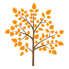 Naklejka na ściany i meble Autumn trees. Decorative tree with yellow leaves. Icon with fall season gold leaves. Vector illustration