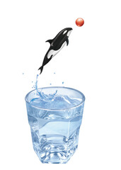 orque,  balle, sauter, giclé, jouer, en verre, liquide, froid, verser, clapoter, abattre, fraîcheur