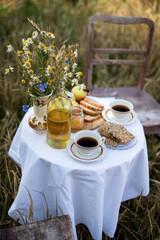 Coffee and cookies in the wild nature, breakfast in the summer field