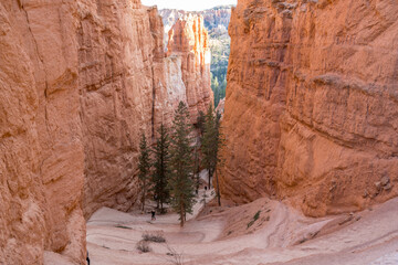 bryce canyon national park usa