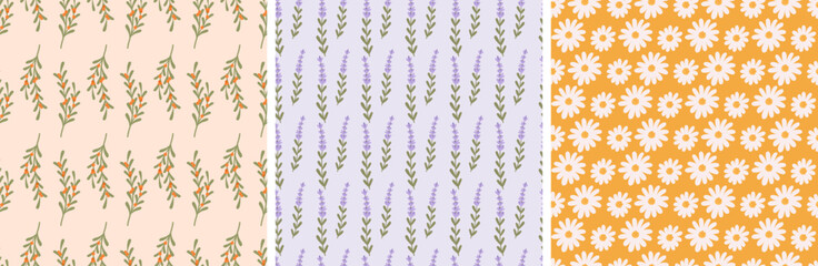 Mono flowers seamless patterns. Lavender chamomile and sea buckthorn branch. Cozy romantic trendy fabric prints. Wild meadow flowers vector background