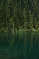 reflection of trees in the lake in the forest in montenegro