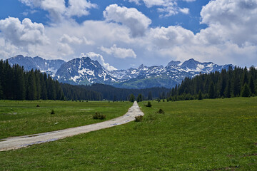 road in the middle of a valley surrounded by forest and mountains