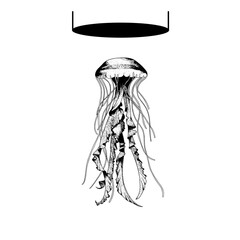 Underwater jellyfish illustration