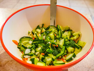Bowl of salad with cucumber tomato greens broccoli Mexico.