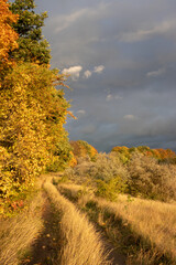 Fototapeta na wymiar Autumn landscape with yellow trees, path, stormy dramatic sky and clouds.