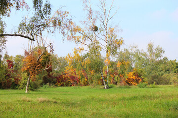 Obraz premium botanical garden in early autumn