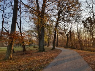 Wonderful hiking path in laxenburg park near vienna. Travel and holiday concept.