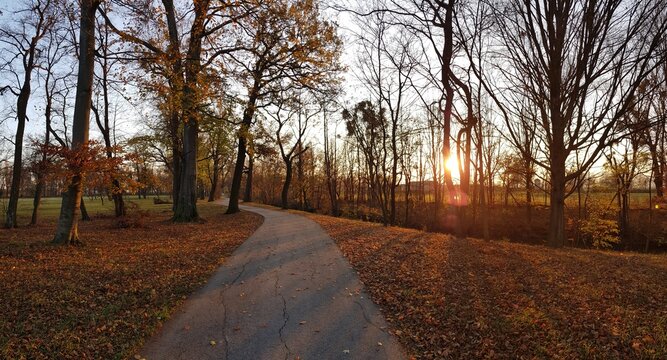 Idyllic panoramic view: Garden park area in sunset in autumn. Laxenburg near vienna. Touristic hotspot.