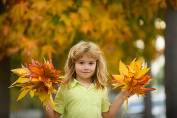 Naklejka na ściany i meble Autumn Baby Portrait on Fall Yellow Leaves Background, Child Kid in Park Outdoor, October September Season.
