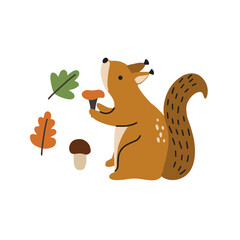 Cute squirrel with forest gifts on a white background. Cute illustration for kids with cartoon forest animal. Baby print with squirrel for baby clothes, postcard, poster