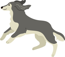 Simple and adorable Saluki dog illustration jumping flat colored