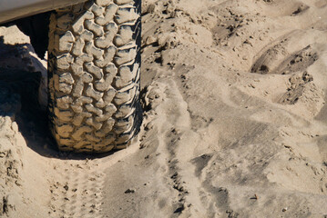 Profil eines Autorades im Sand