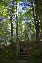 Obraz premium La Plaine 2 Octobre 2022 