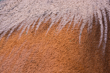 Abstract pattern color paints on the wall as background texture