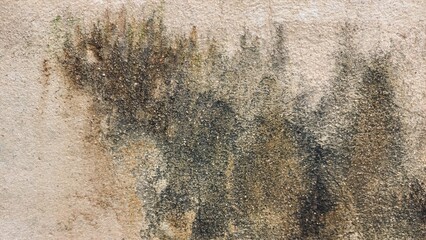The old wall concrete background 