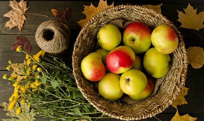 Autumn still life on a wooden background wicker basket with juicy apples, yellow chrysanthemum flowers, dry autumn leaves.  Concept autumn atmosphere, close-up, background image.