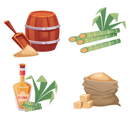 Sugar rum alcohol drink cane isolated set. Vector graphic design element illustration